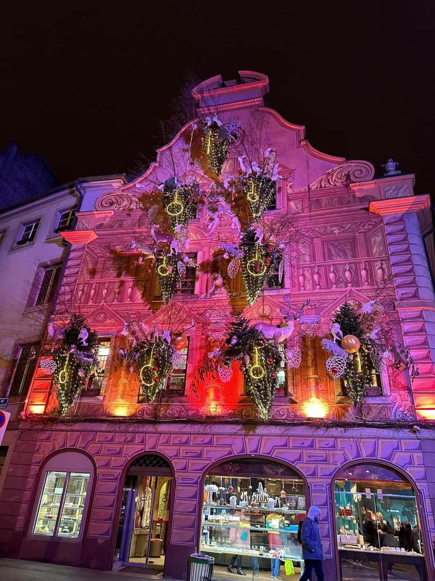 Hotel Aux Couleurs D'Alsace à Ostwald Extérieur photo